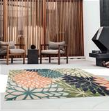 Outdoor rugs